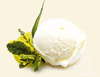 Veganes Eis
