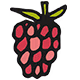 Himbeere