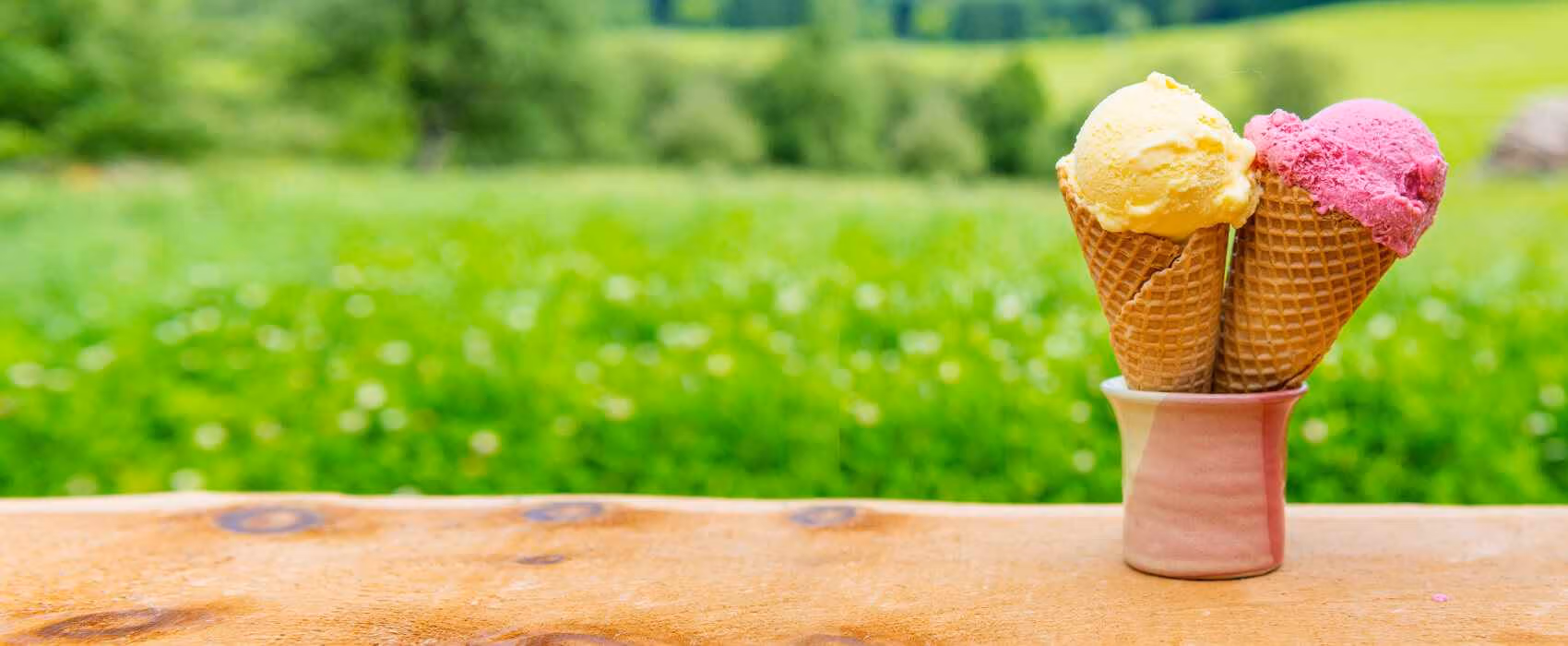 Krappfelder Eis vom Bauernhof